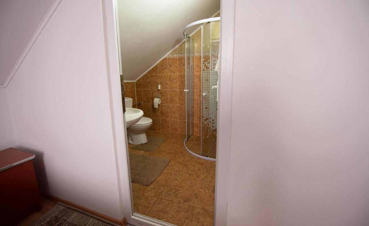 Gasthof Pensiunea Tincu 3*